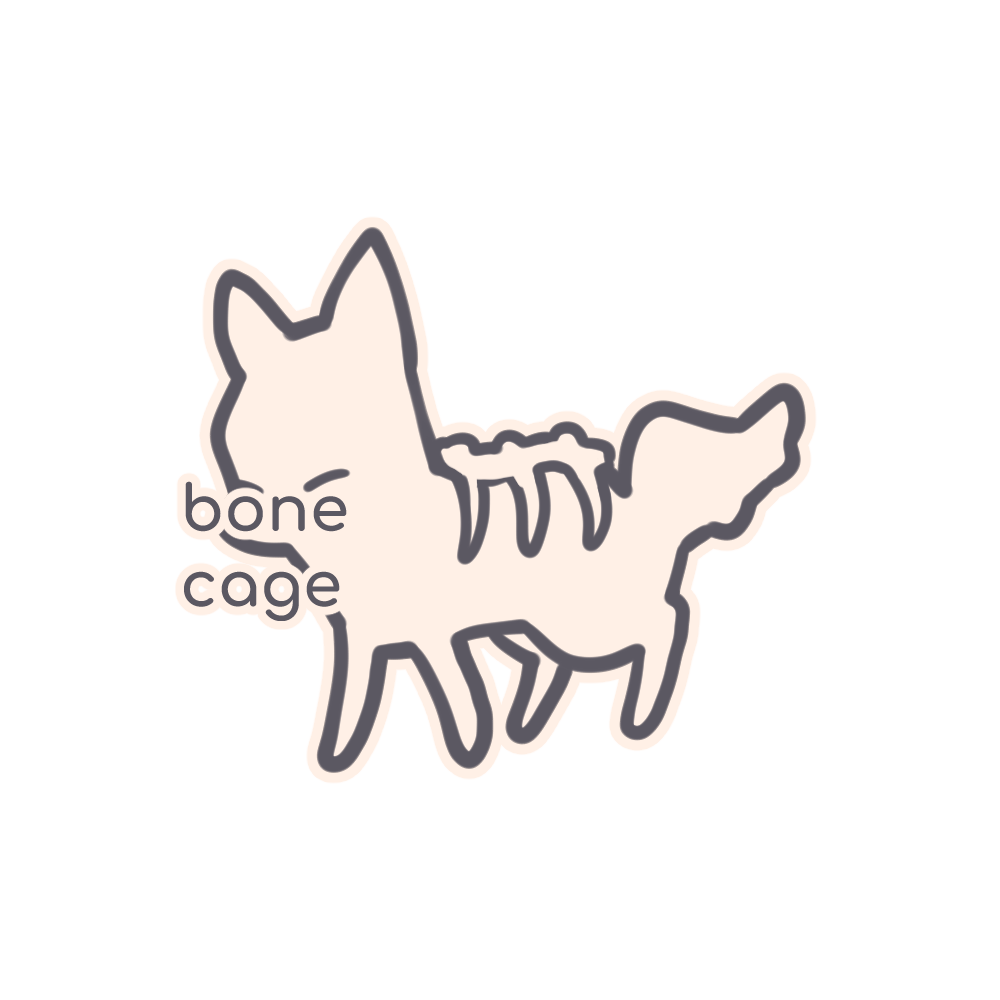 BONE CAGED (BODY)