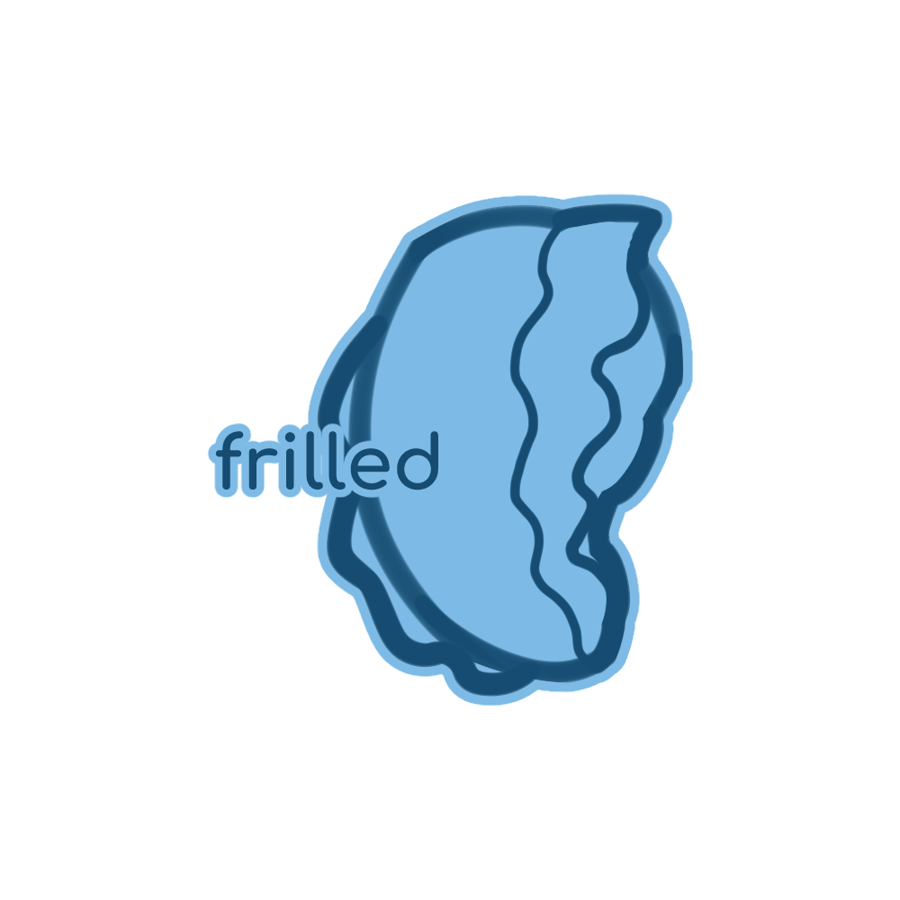 FRILLED (TAIL DECO)