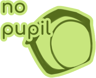 NONE (PUPIL)