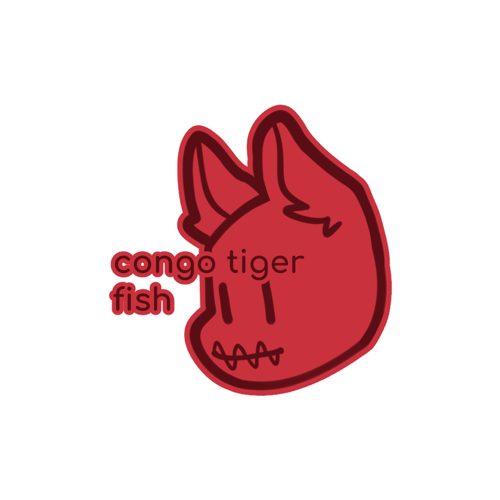 CONGO TIGER FISH (TEETH)